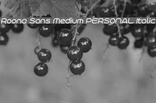 Roona Sans Medium PERSONAL Italic Font examples