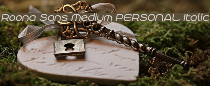 Roona Sans Medium PERSONAL Italic Example 2