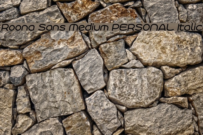 Roona Sans Medium PERSONAL Italic Example 3