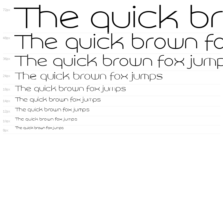 Roona Sans Thin PERSONAL Waterfall