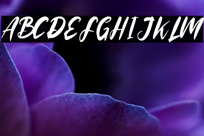 Rooselyndemo Example 1