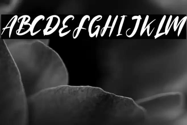 Rooselyndemo Font examples