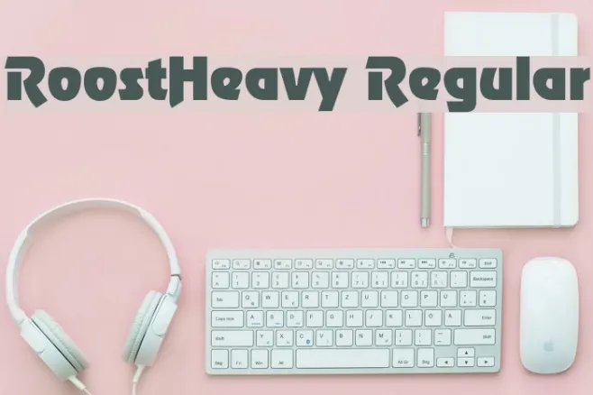 RoostHeavy Regular Example 1