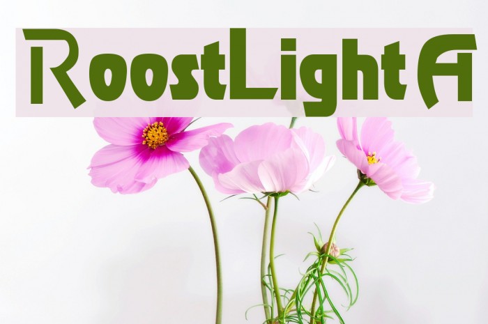 RoostLightA Example 3