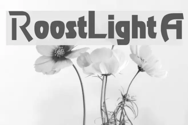 RoostLightA Font examples