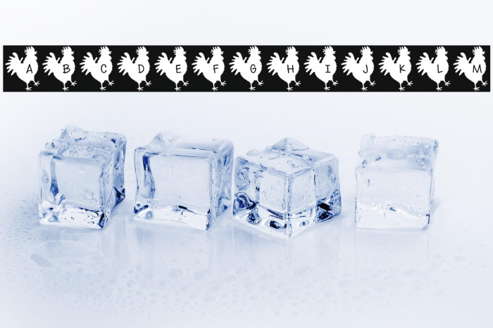 Rooster*Letters Regular Example 1