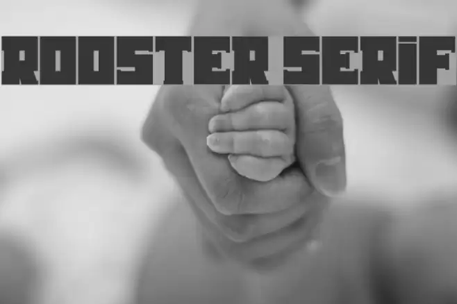 Rooster Serif Font examples
