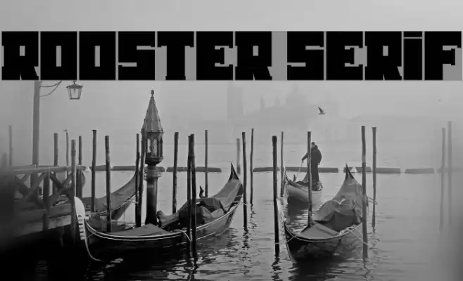 Rooster Serif Font examples