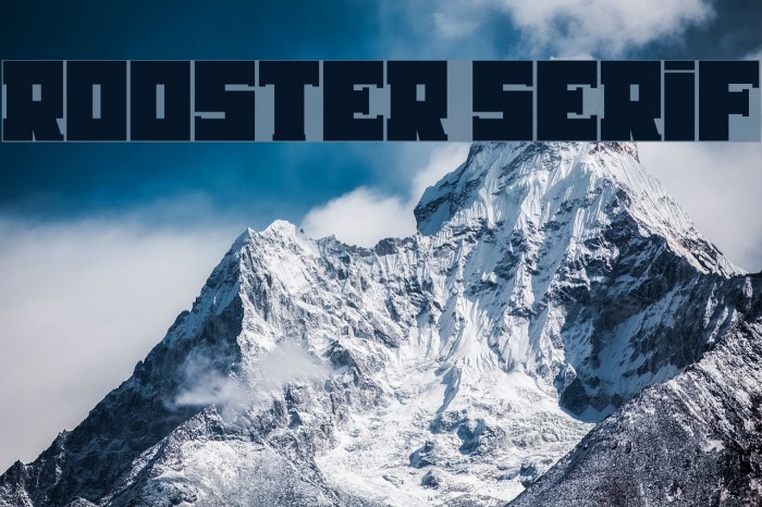 Rooster Serif Font examples