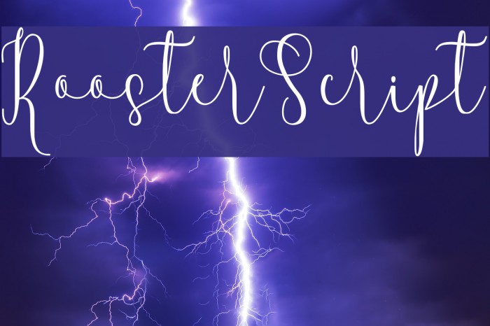 RoosterScript Font examples