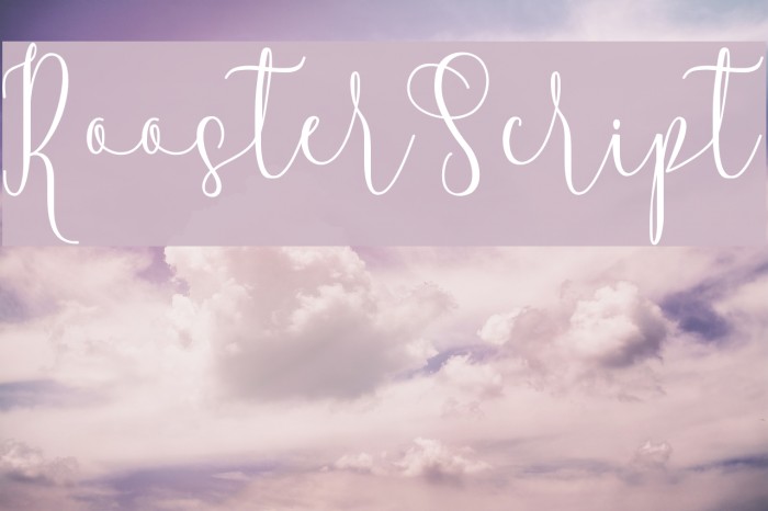 RoosterScript Font examples
