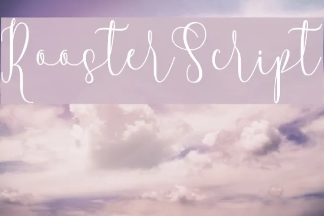 RoosterScript Example 2