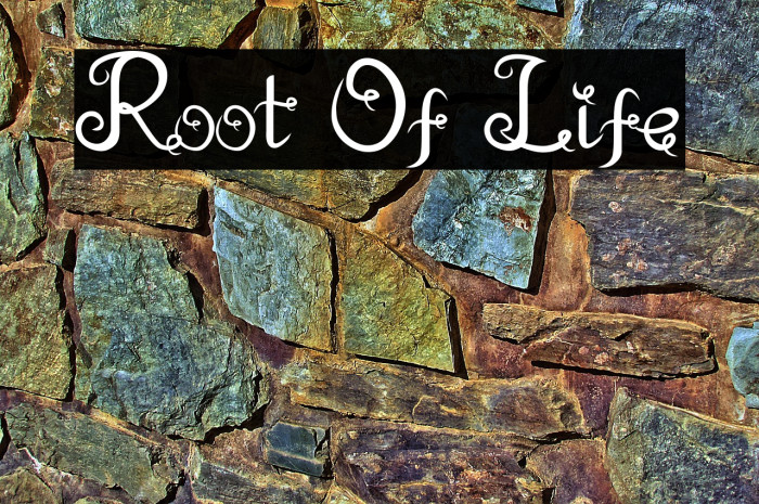 Root Of Life Example 1