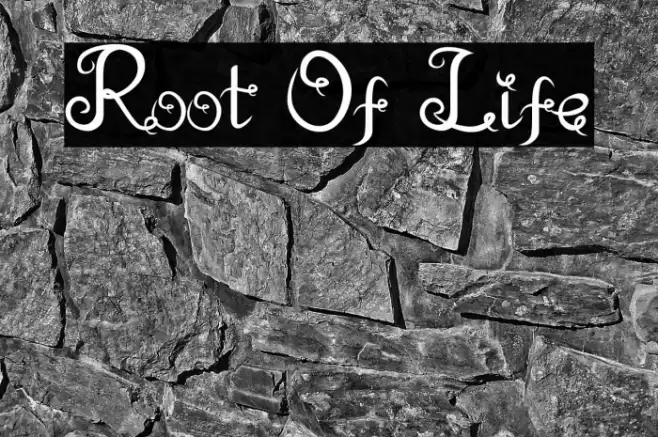 Root Of Life Schriftart examples