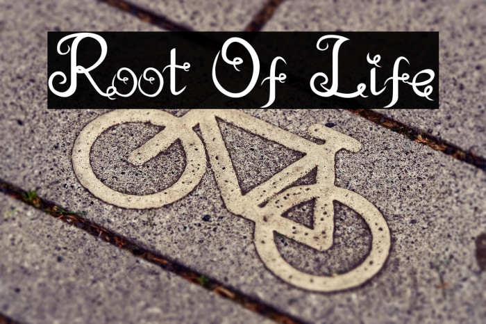 Root Of Life Example 2
