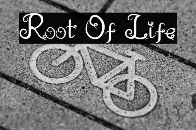 Root Of Life Schriftart examples
