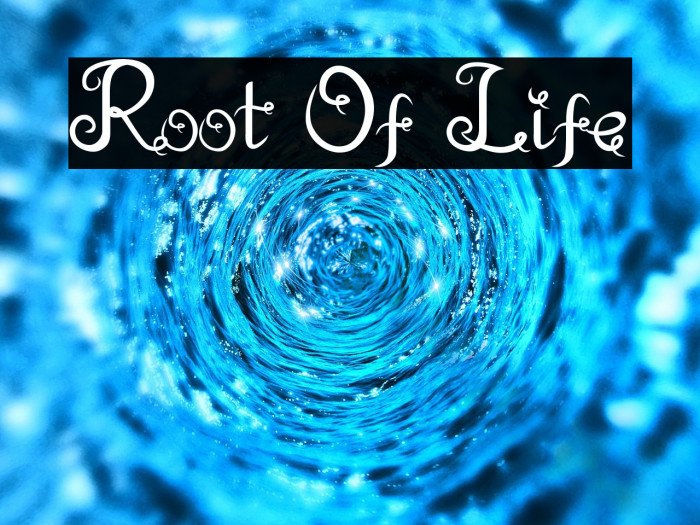 Root Of Life Example 3