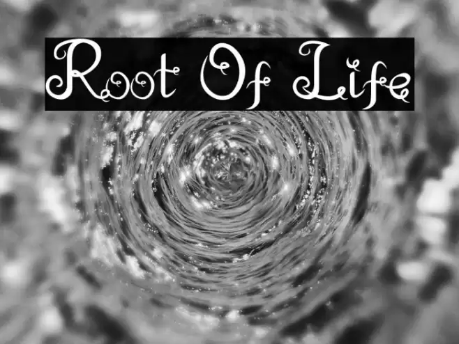 Root Of Life Schriftart examples