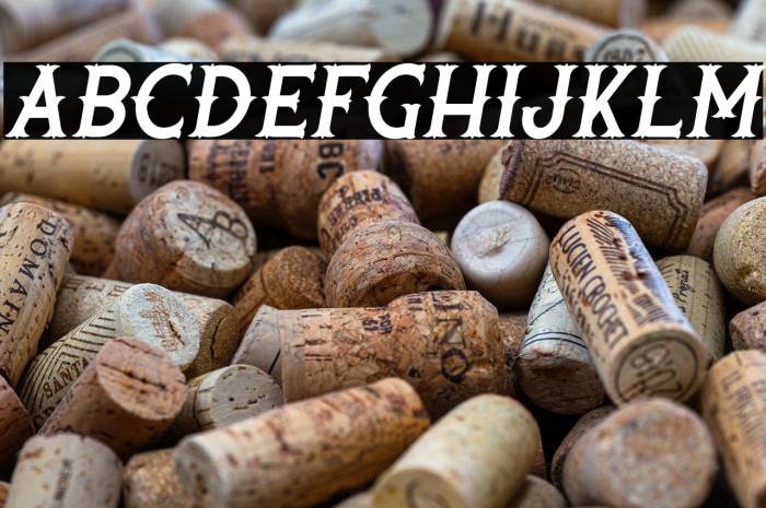 Rooters-Italic Example 2