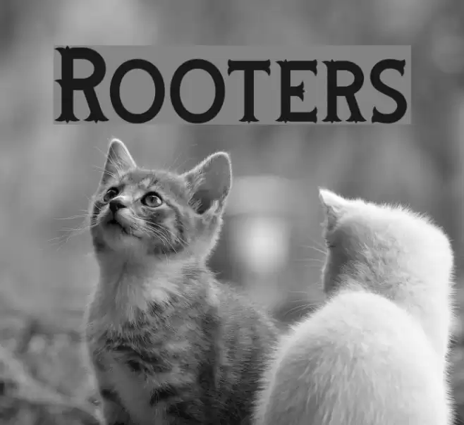 Rooters Font examples