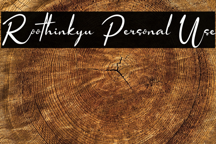 Roothinkyu Personal Use Example 1