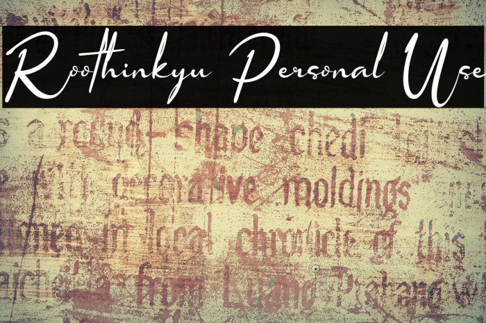 Roothinkyu Personal Use Example 2