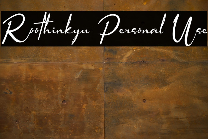 Roothinkyu Personal Use Example 3