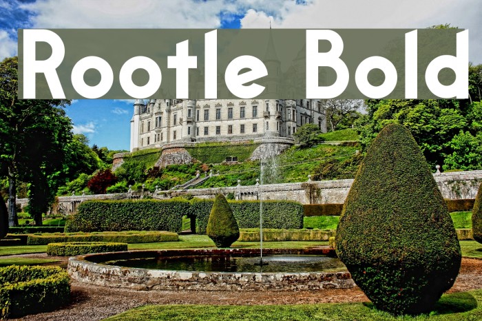 Rootle Bold Font examples