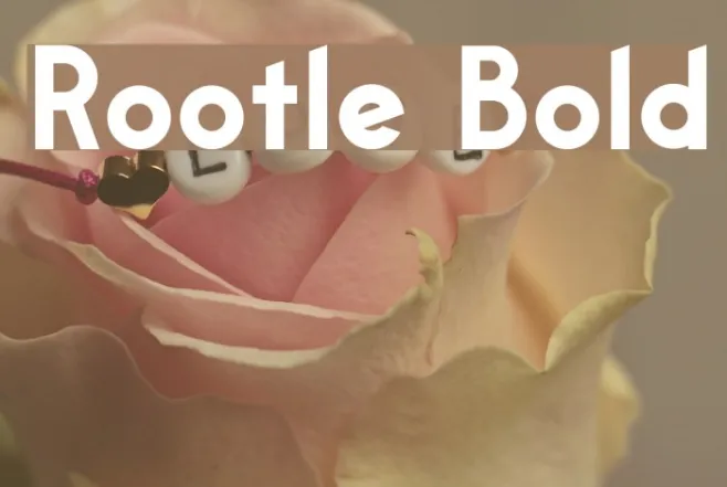 Rootle Bold Example 2