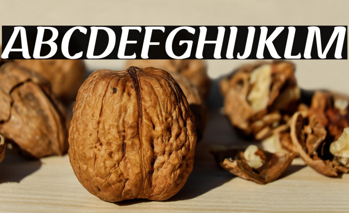 Roots Regular Example 1