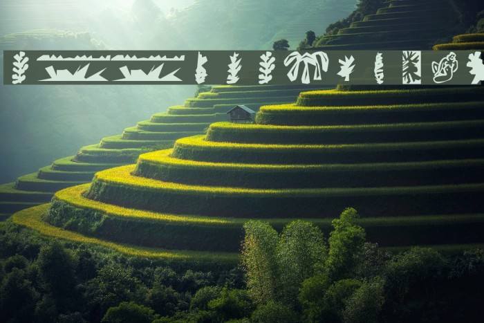 Roots Regular Font examples