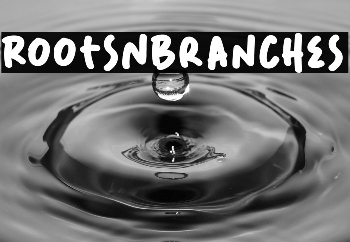 RootsNBranches Example 1