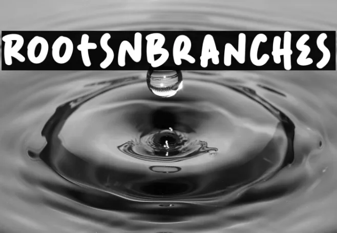 RootsNBranches Example 1