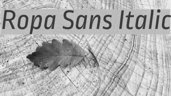Ropa Sans Italic Font examples