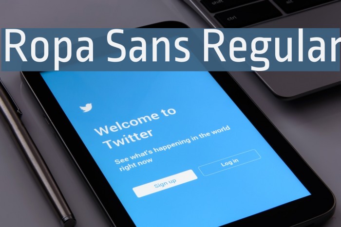 Ropa Sans Regular 字体 examples