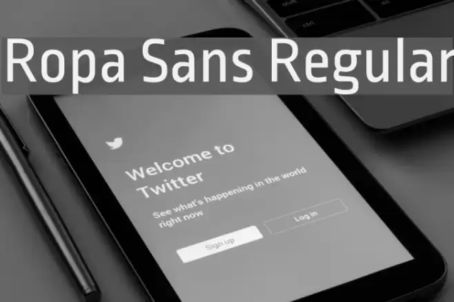 Ropa Sans Regular Font examples