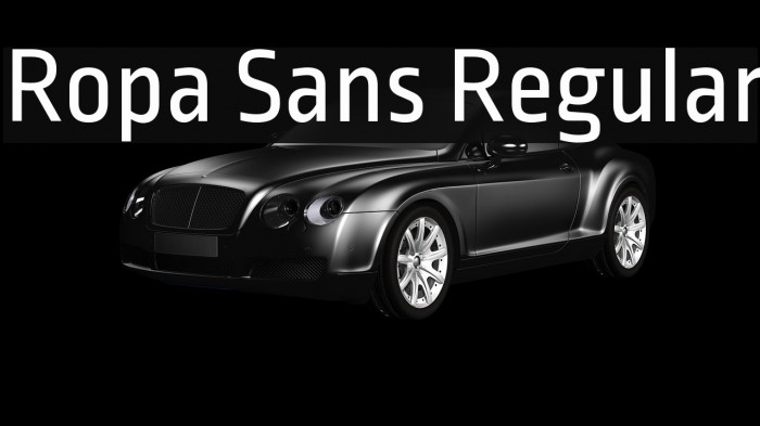 Ropa Sans Regular 字体 examples