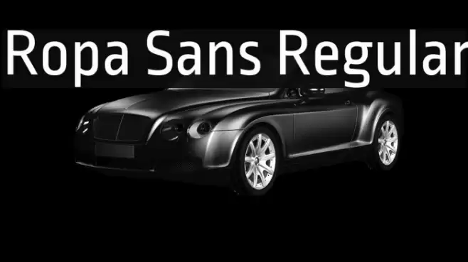 Ropa Sans Regular Font examples