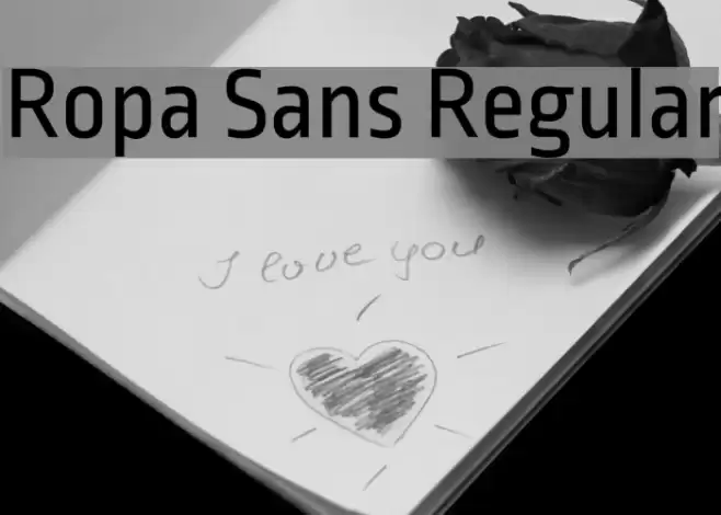 Ropa Sans Regular Font examples
