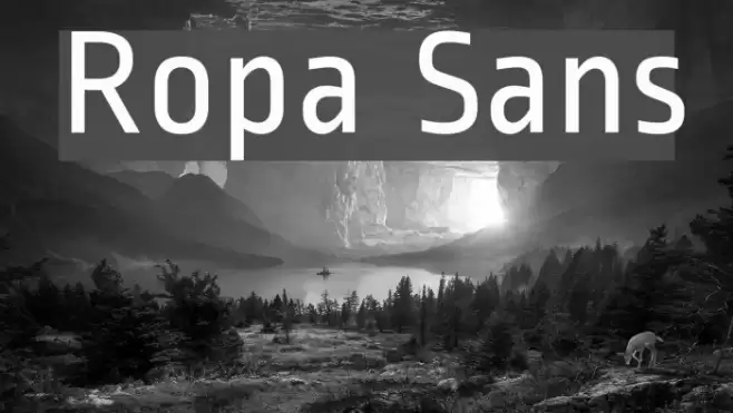 Ropa Sans Font examples