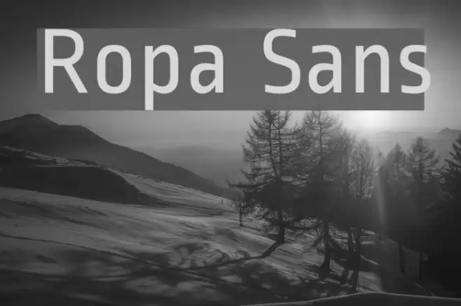 Ropa Sans Font examples