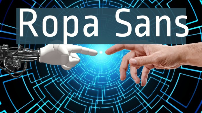 Ropa Sans Font examples