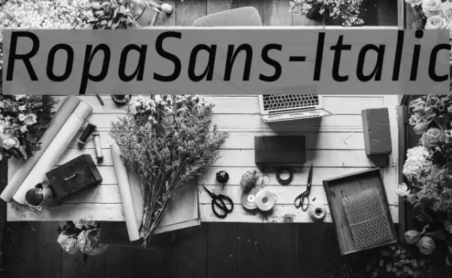 RopaSans-Italic Font examples