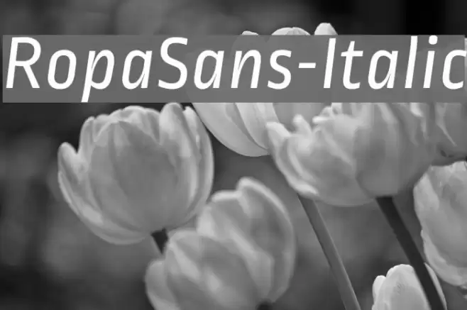 RopaSans-Italic Font examples