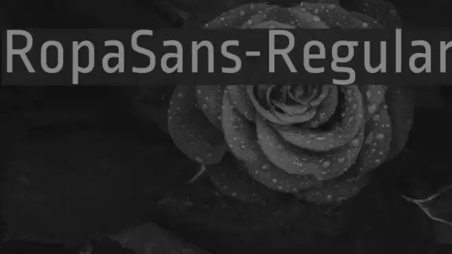 RopaSans-Regular Font examples