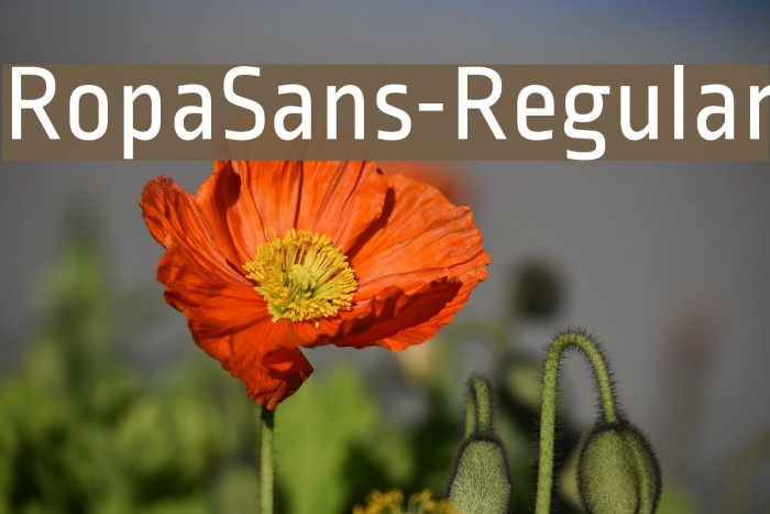 RopaSans-Regular Font examples