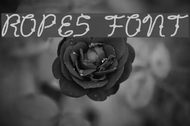 Rope5 Font examples