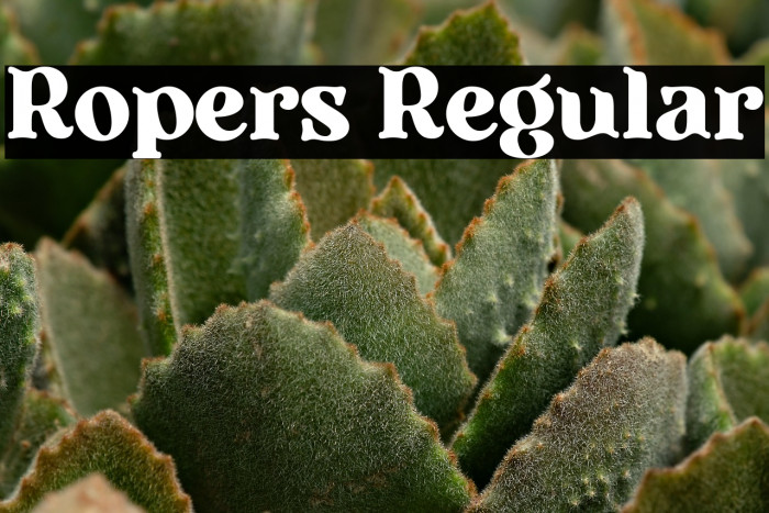 Ropers Regular Example 1