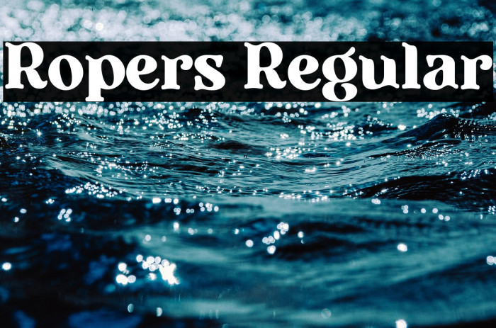 Ropers Regular Example 2