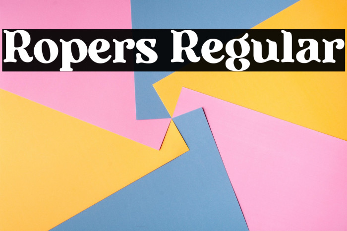 Ropers Regular Example 3